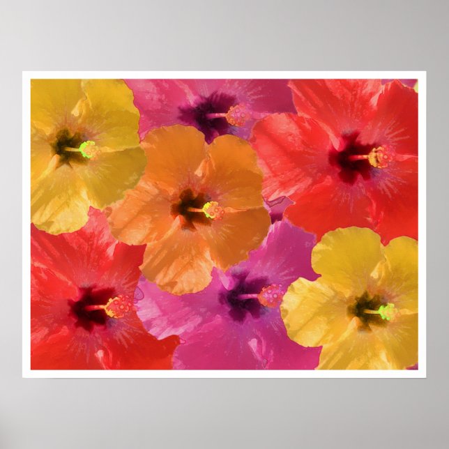 Poster Flores brilhantes (Frente)