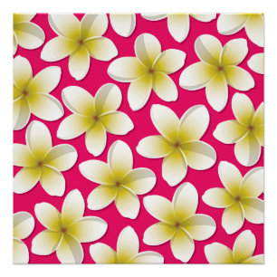Póster Flores Brilhantes Frangipani/ Plumeria
