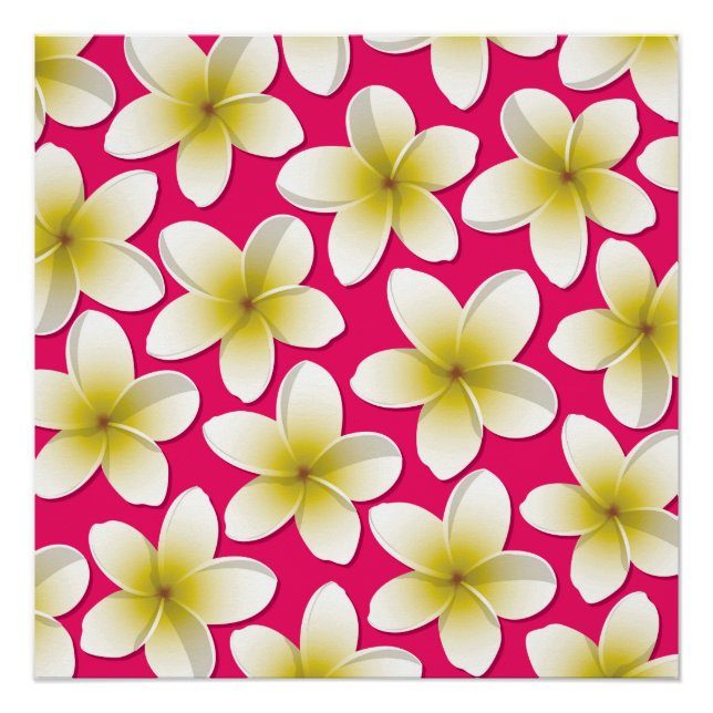 Póster Flores Brilhantes Frangipani/ Plumeria (Frente)