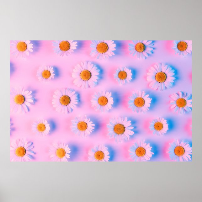 Poster Flores camomilares com patamar de luz neon multico (Frente)