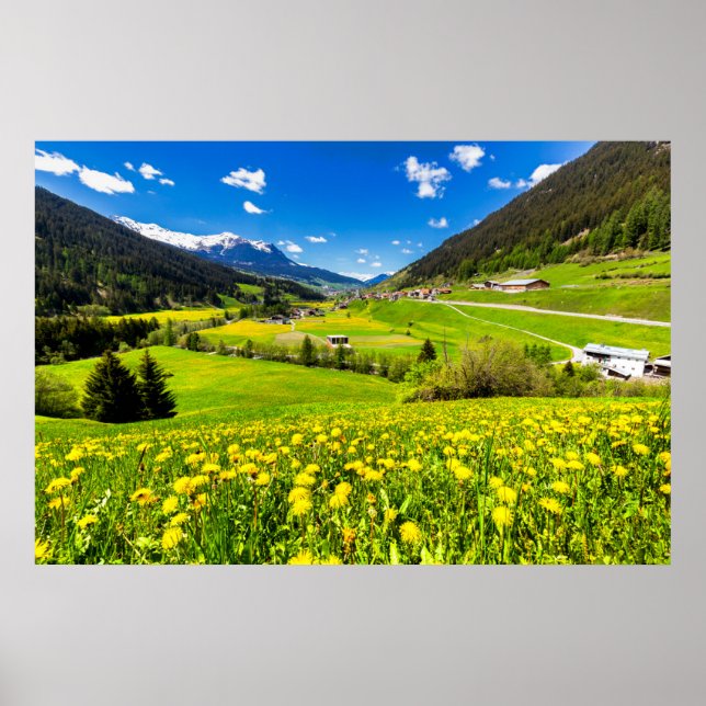 Poster Flores | Cantão de Dandelion de Grisons, Suiça (Frente)