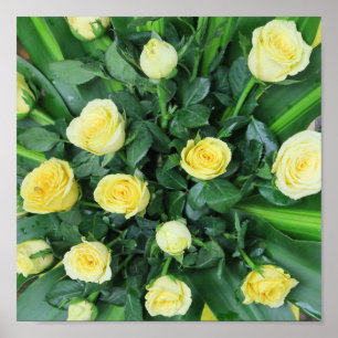 Poster flores coloridas+, gnomo de jardim+,