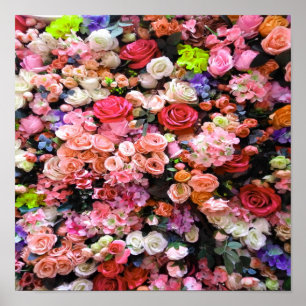 Poster Flores Coloridas no Buquê Bloom Floral