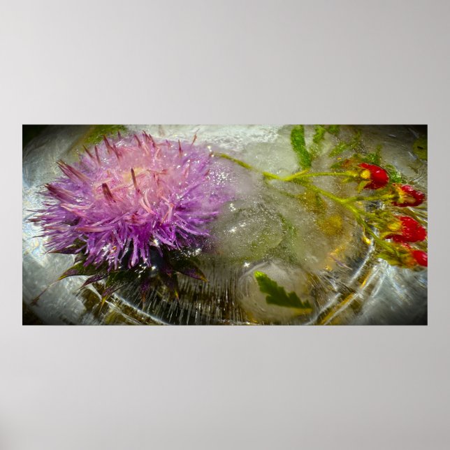 Poster Flores Congeladas,  (Frente)
