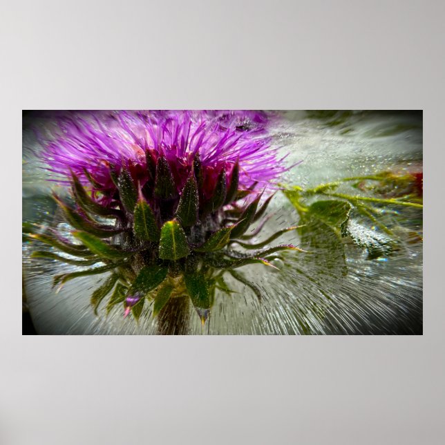 Poster Flores Congeladas,  (Frente)