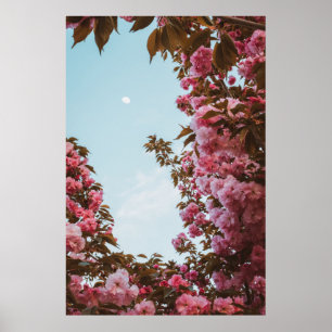 Poster Flores cor-de-rosa