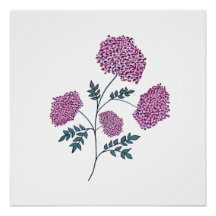 Flores Cor-de-Rosa Desenhadas à Mão, Botânica Eleg