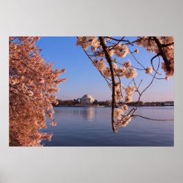 Poster Flores cor-de-rosa pacíficas em DC