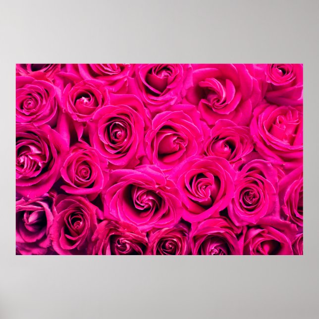 Poster Flores cor-de-rosa rosa fundo (Frente)