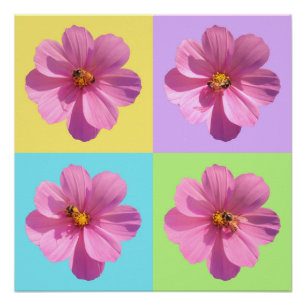 Póster Flores Cosmos de Quatro Painéis com Abelhas de Mel