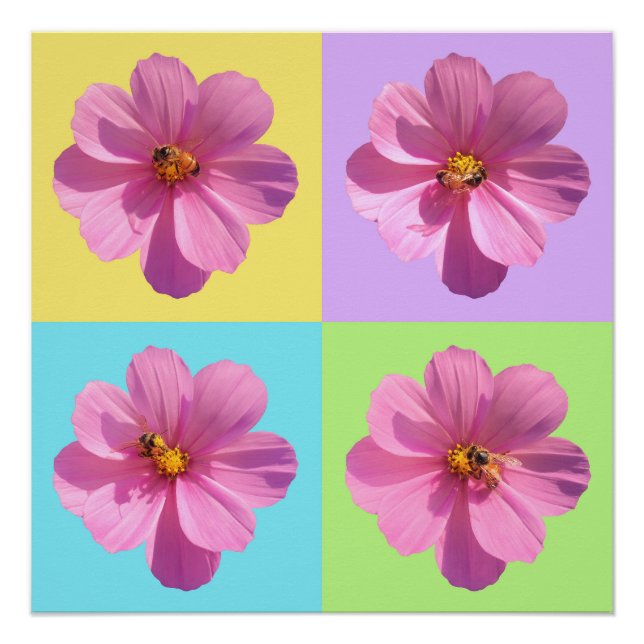 Póster Flores Cosmos de Quatro Painéis com Abelhas de Mel (Frente)