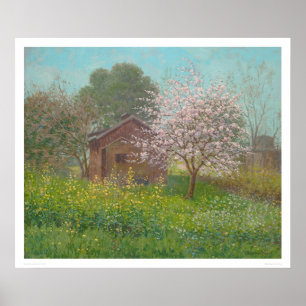 Póster Flores da amêndoa e mostarda selvagem (1152)
