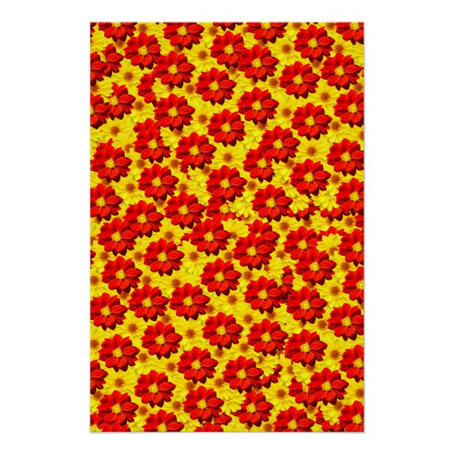 Póster Flores da dália vermelha e amarela (Frente)