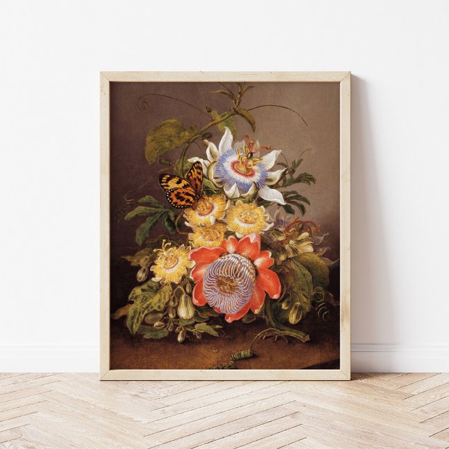 Poster Flores da paixão | Ferdinand Bauer (Criador carregado)
