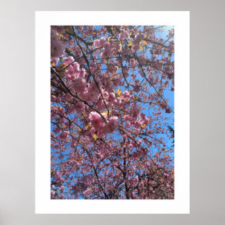 Poster Flores da Primavera