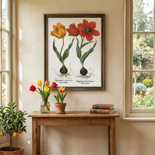 Póster Flores da tulipa do primavera do vintage por
