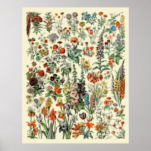 Poster Flores de Adolfo Millot