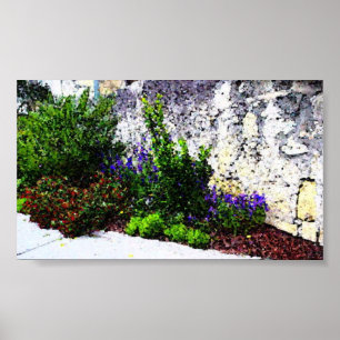 Poster Flores de Alamo