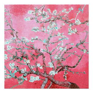Póster Flores de Amendoeira de Van Gogh rosa azul