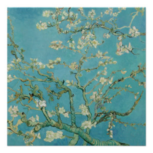 Póster Flores de Amendoeira por Vincent Van Gogh Arte Fin