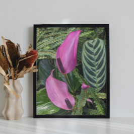 Poster Flores de Antúrio Rosa e Folhagem Exuberante