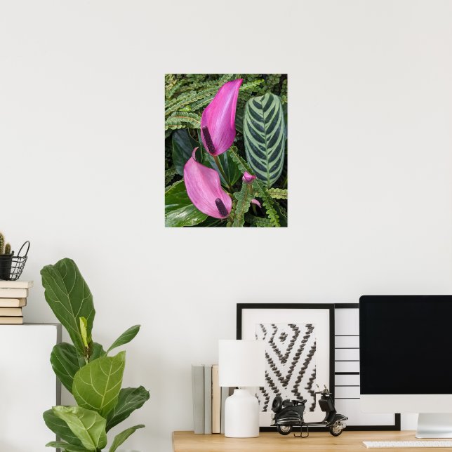 Poster Flores de Antúrio Rosa e Folhagem Exuberante (Escritório em casa)