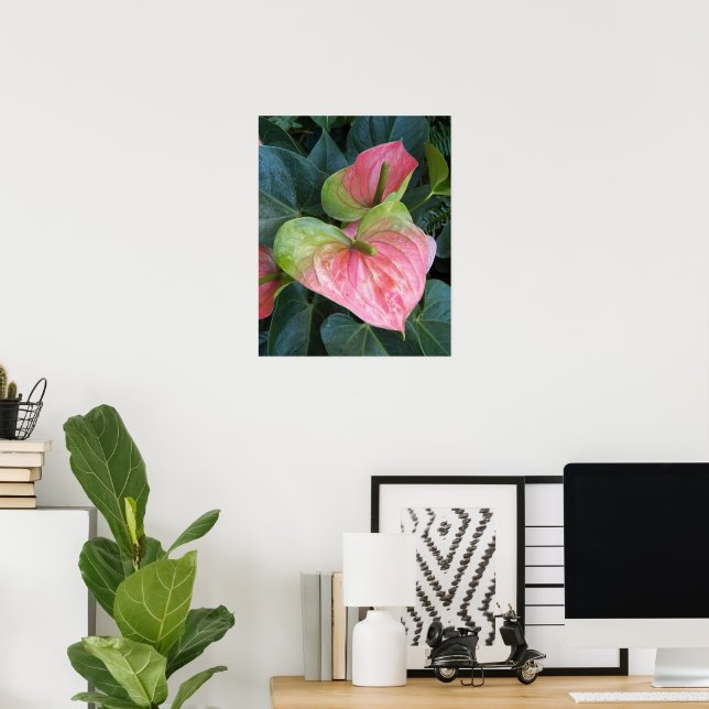 Poster Flores de Antúrio Rosa Fotografia Floral (Escritório em casa)