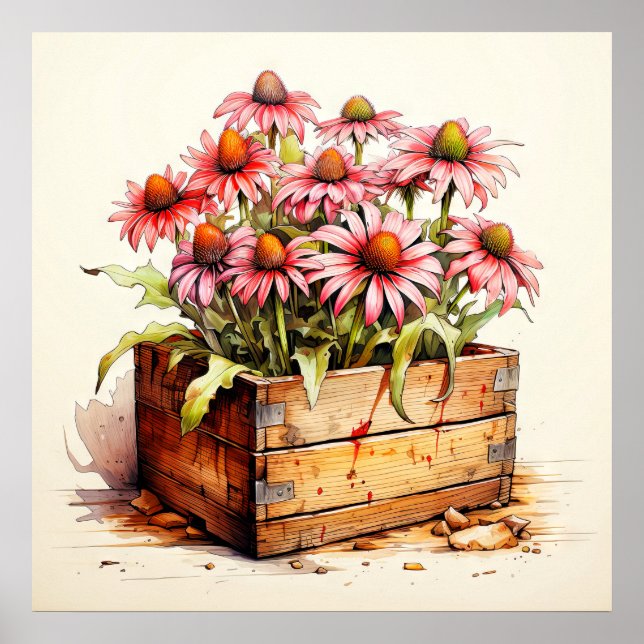 Poster Flores de Aster Plantadas bonito (Frente)