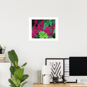 Poster Flores de Astilbe Rosa Profundo Floral