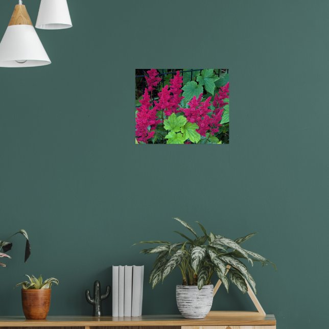 Poster Flores de Astilbe Rosa Profundo Floral (Sala de Estar 1)