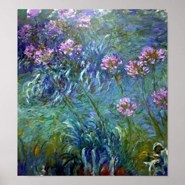 Póster Flores De Belas Artes Artísticas Agapanthus (Frente)