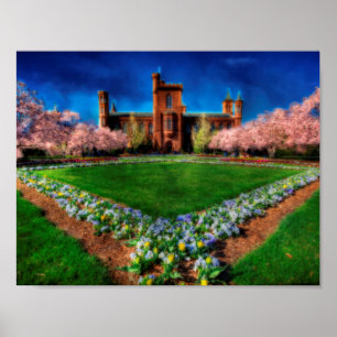 Póster Flores de cerejeira do jardim do castelo de
