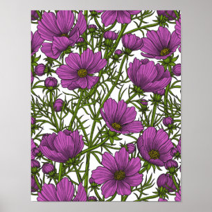 Poster Flores de cosmos violetas
