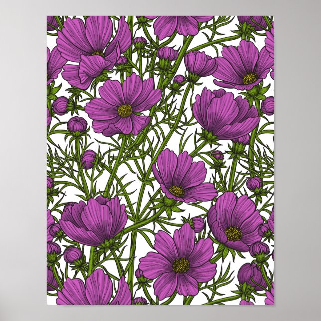 Poster Flores de cosmos violetas (Frente)