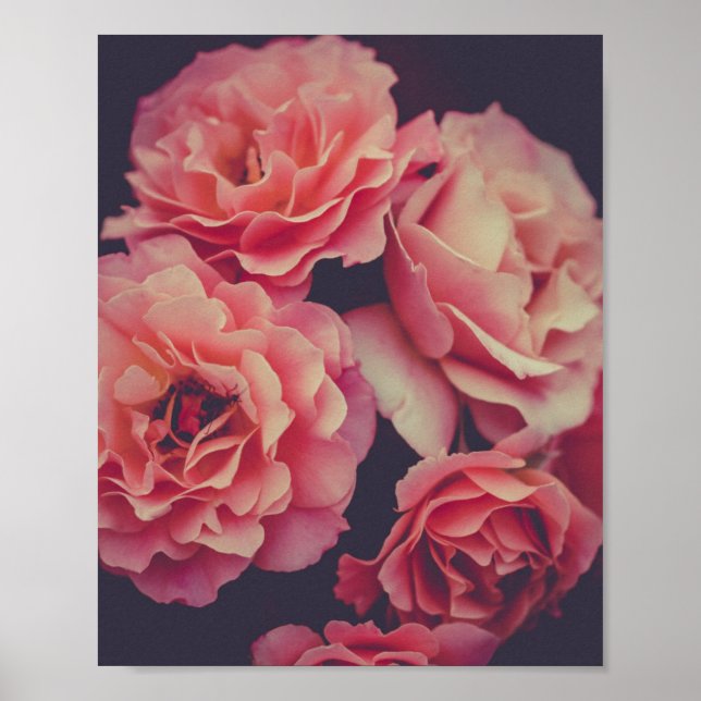 Poster Flores de Cravos Rosa (Frente)
