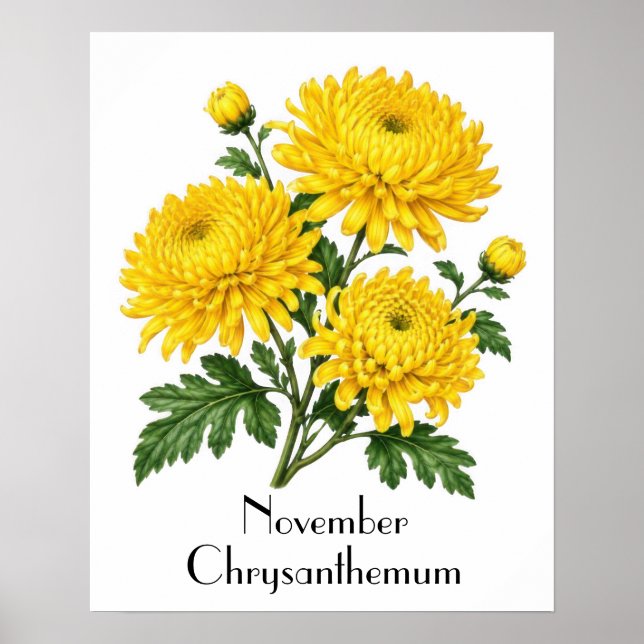 Poster Flores de Crisântemo de Novembro (Frente)