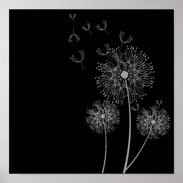 Póster Flores de Dandelion, artes negras e brancas (Frente)