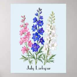 Poster Flores de Delphinium de Julho
