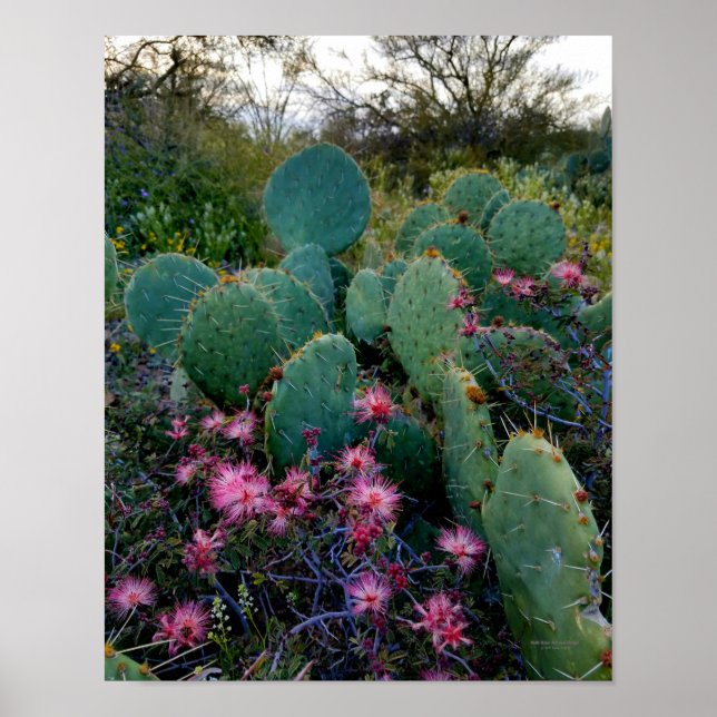 Poster Flores De Derramamento Rosa E Cactus De Ervilha (Frente)