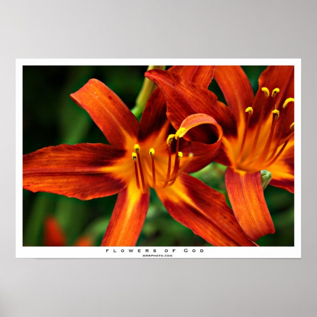 Póster Flores de Deus (Frente)