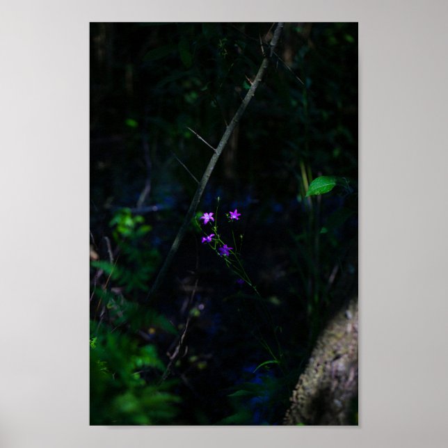 Poster Flores de Florestas de Água Roxo Selvagens Fern (Frente)