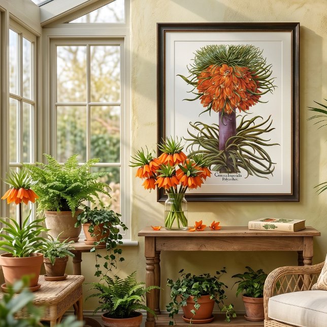 Póster Flores de Fritillaria Laranja Vintage Basilius Bes (Vintage illustration featuring Fritillaria imperialis from 'Hortus Eystettensis' by Basilius Besler)