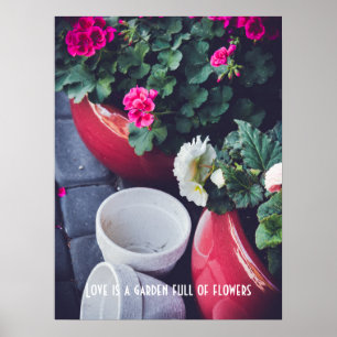Poster Flores de gerânio de jardim rosa e branco