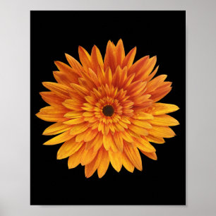 Poster flores de girassol