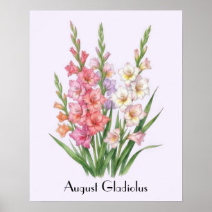 Poster Flores de Gladíolo de Agosto