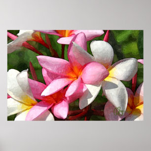 Póster Flores de Havaí