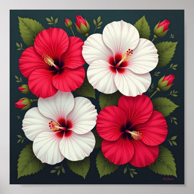 Poster Flores de Hibiscus (Frente)