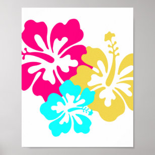 Poster Flores de Hibiscus Havaianos