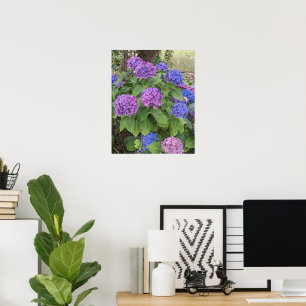 Poster Flores de Hortênsia Azul e Rosa Floral