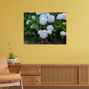 Poster Flores de Hortênsia Azul no Jardim de Verão